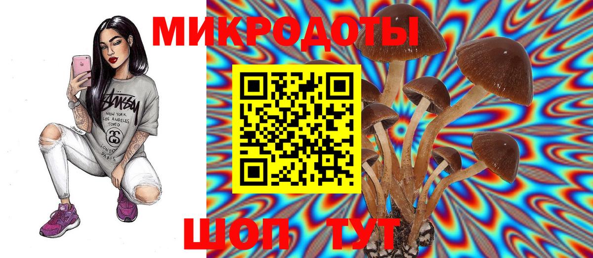 Галлюциногенные грибы MAGIC MUSHROOMS  Галлюциногенные грибы Psilocybe  наркотики  Реж  Вход с VPN 