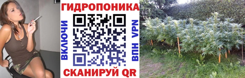 МАРИХУАНА OG Kush Реж